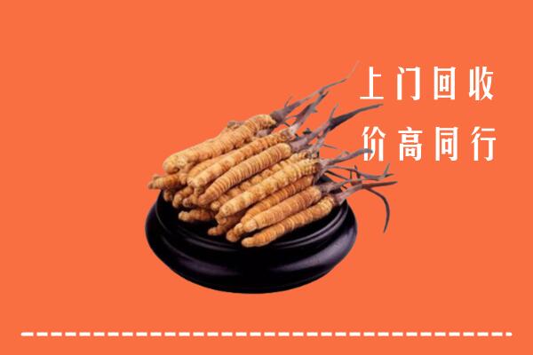 收购行情：灌南县回收散虫草